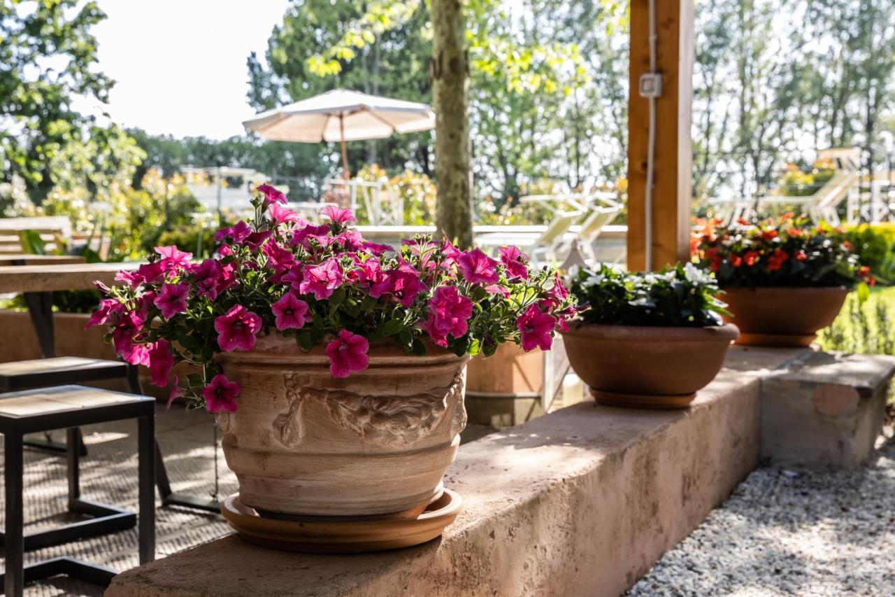 Vecchio Granaio Bed & Breakfast Пиза Екстериор снимка